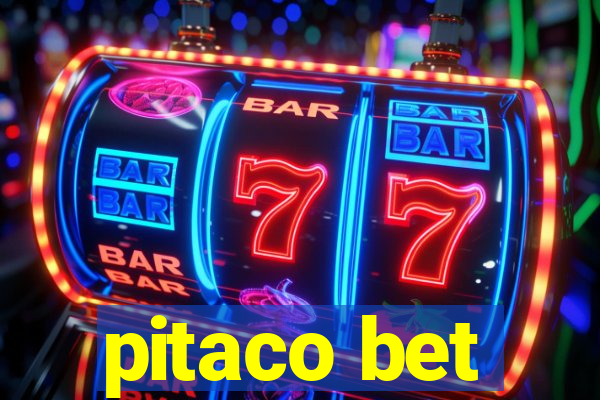 pitaco bet